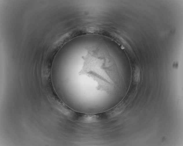 X0000091970569200709061334