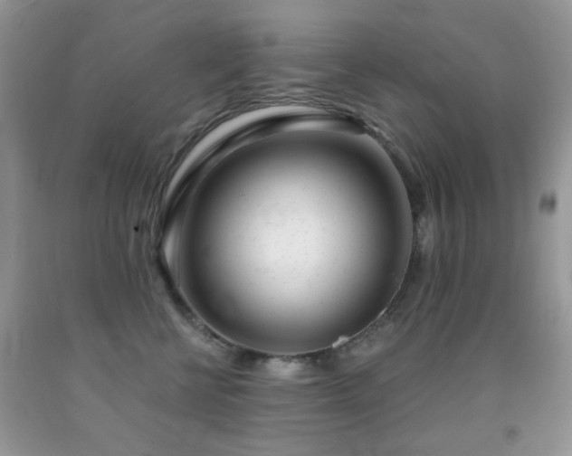 X0000091970570200709061334