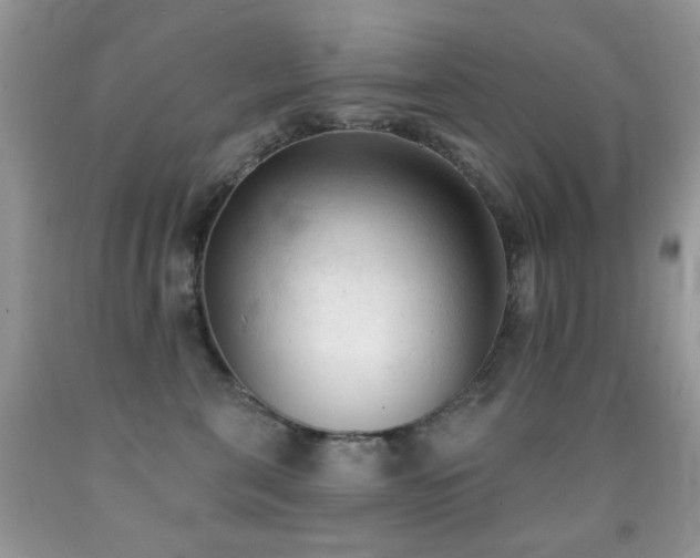 X0000091970571200709061334
