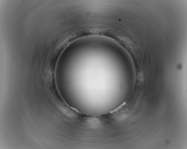 X0000091970572200709061334