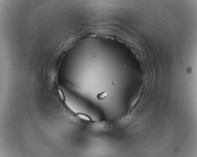 X0000091970574200709061334