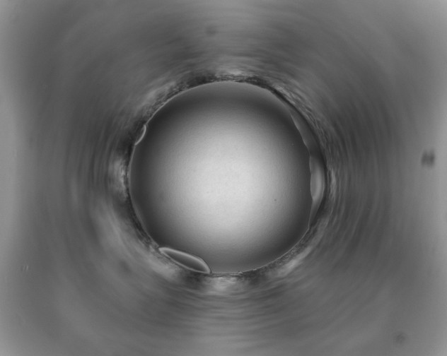 X0000091970575200709061334