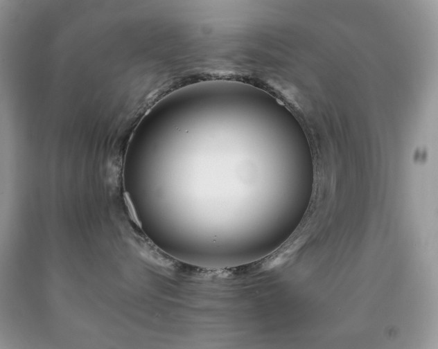 X0000091970576200709061334