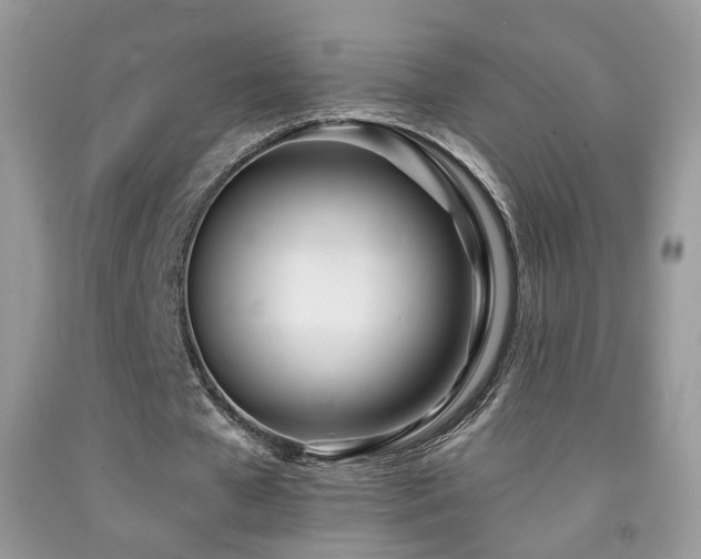 X0000091970577200709061334