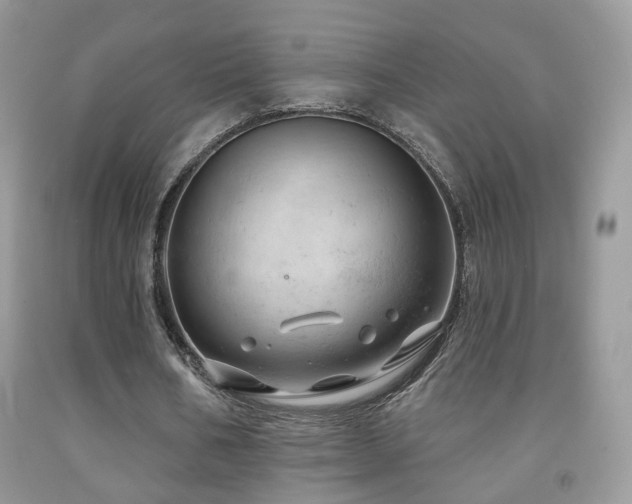 X0000091970578200709061334