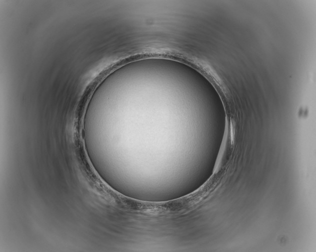 X0000091970579200709061334