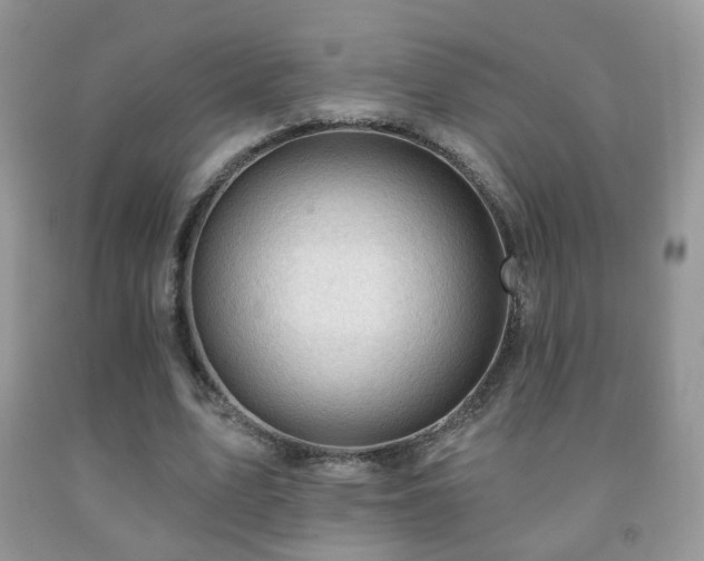 X0000091970583200709061334