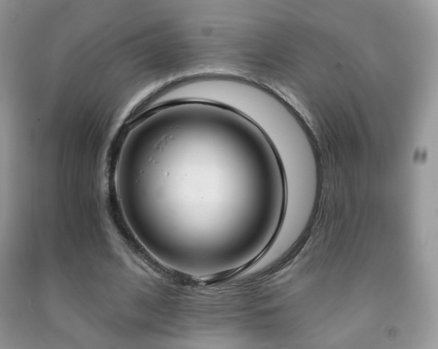 X0000091970584200709061334