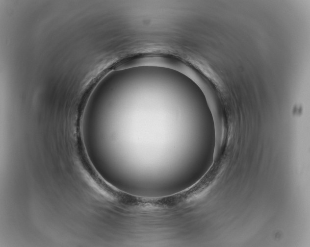 X0000091970585200709061334