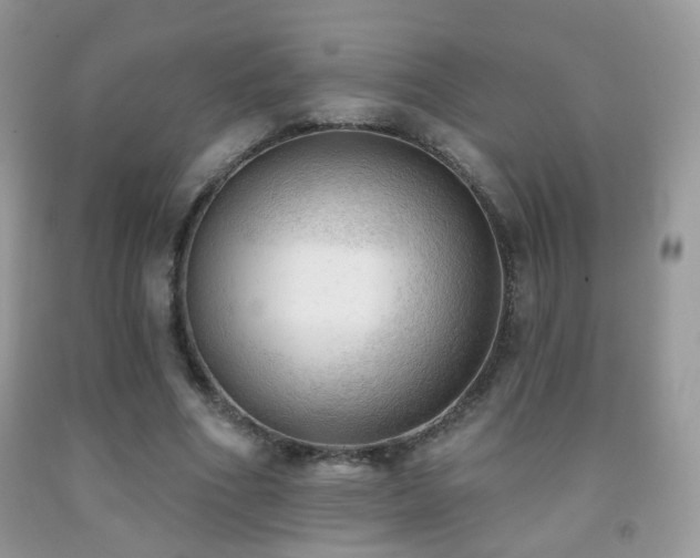 X0000091970586200709061334