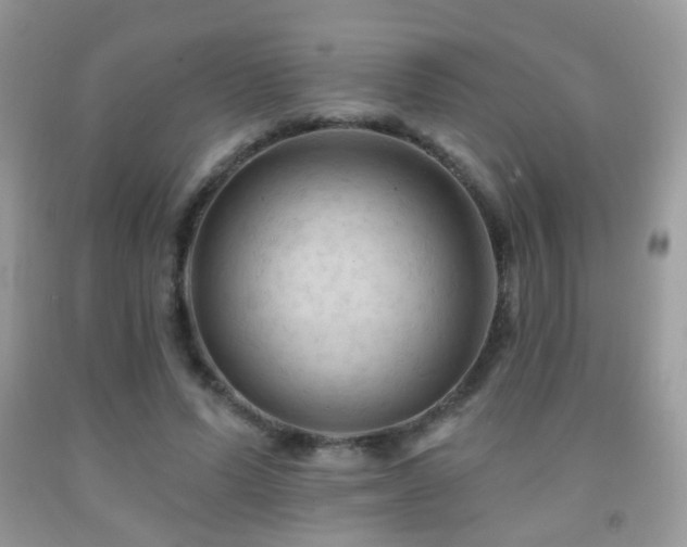 X0000091970591200709061333