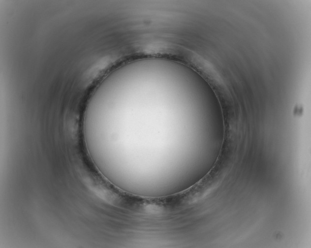 X0000091970592200709061333