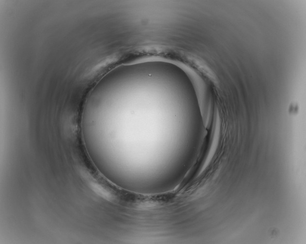 X0000091970593200709061333