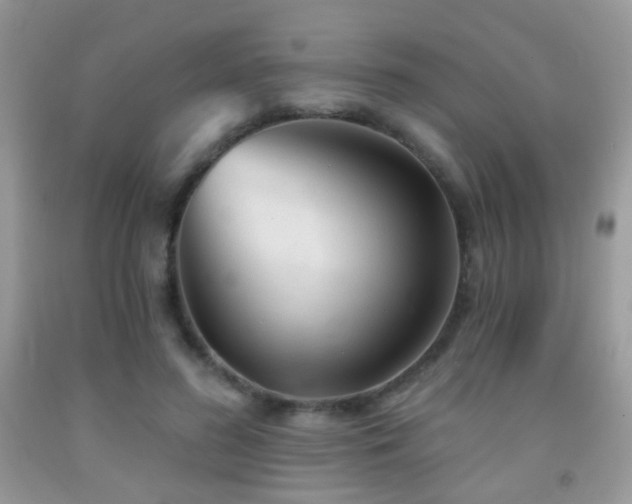 X0000091970596200709061333