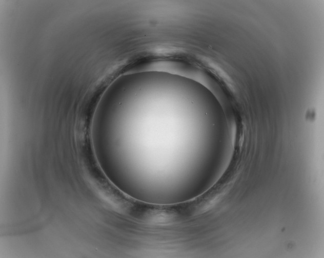X0000091970597200709061333