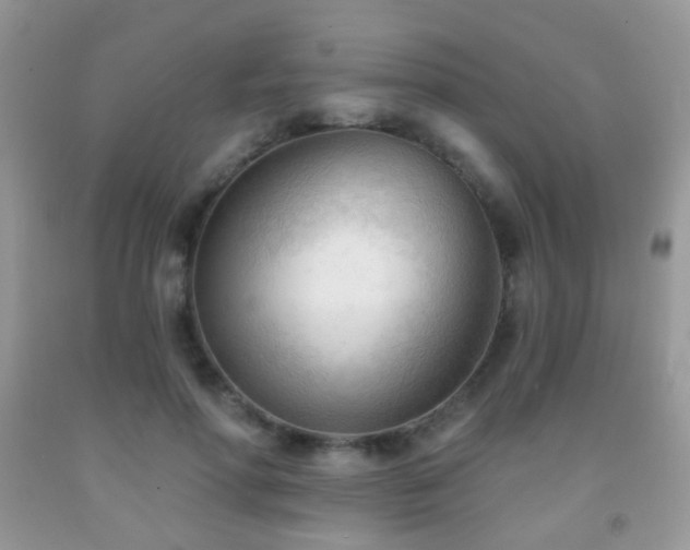 X0000091970598200709061333