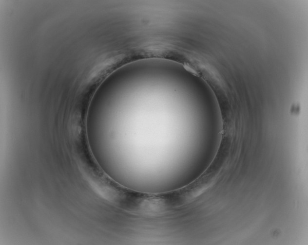 X0000091970599200709061333