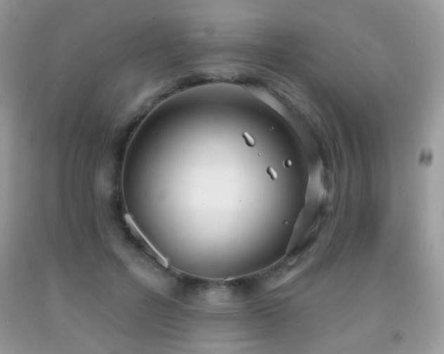 X0000091970600200709061333