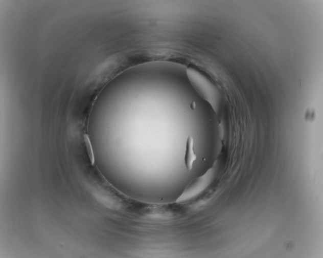 X0000091970601200709061333
