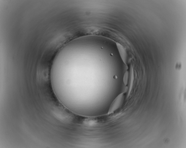 X0000091970602200709061333