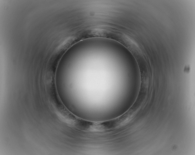 X0000091970603200709061333