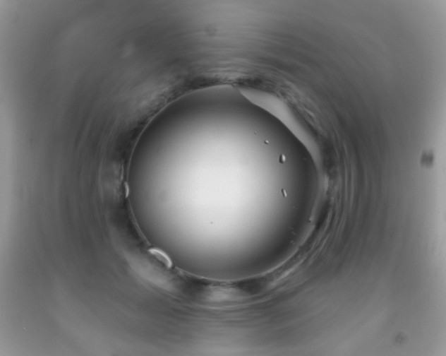 X0000091970605200709061333