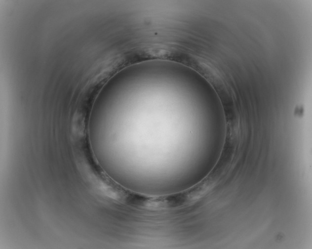 X0000091970606200709061333