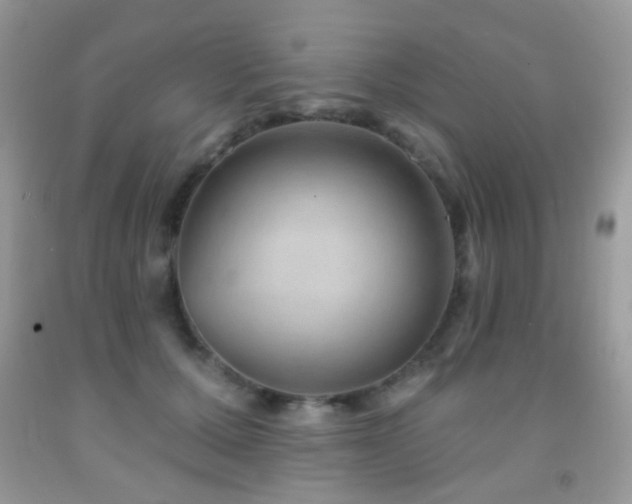 X0000091970607200709061333