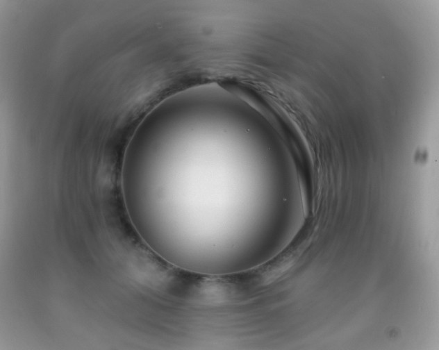 X0000091970608200709061333