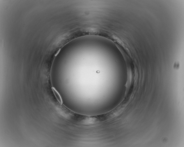 X0000091970609200709061333