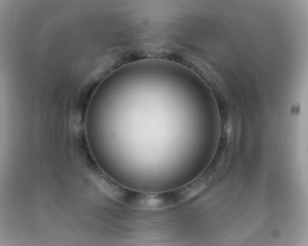 X0000091970610200709061333