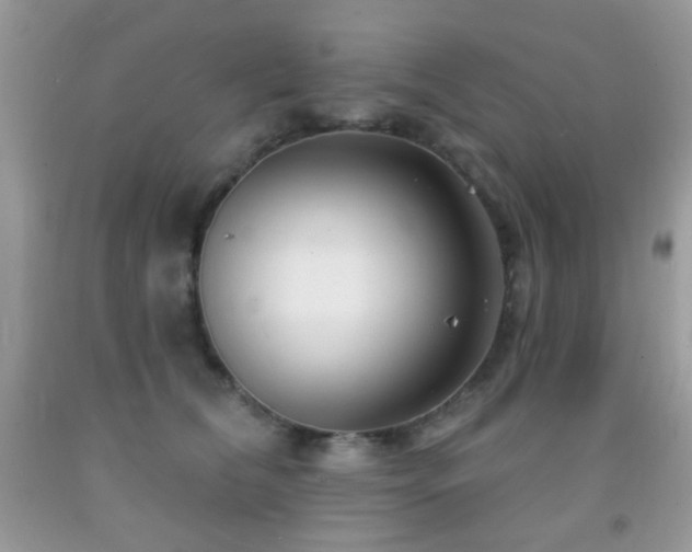 X0000091970612200709061333