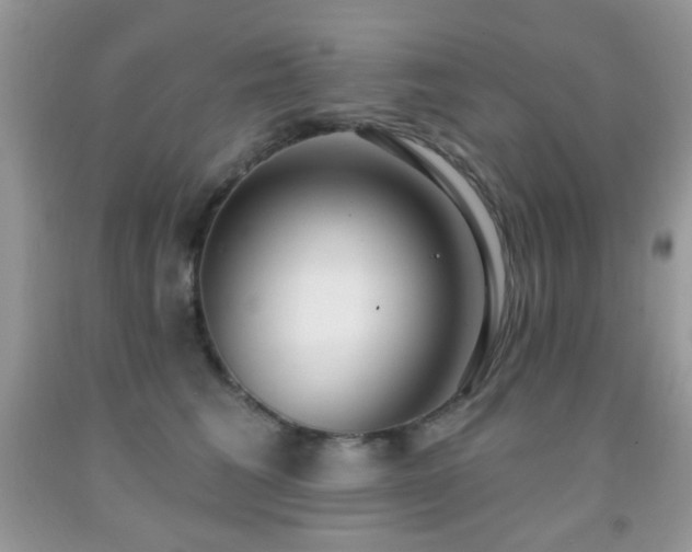 X0000091970613200709061333