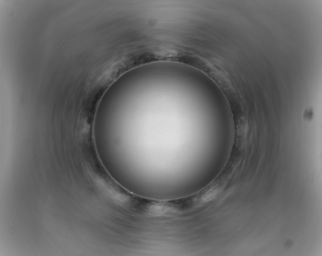 X0000091970614200709061333