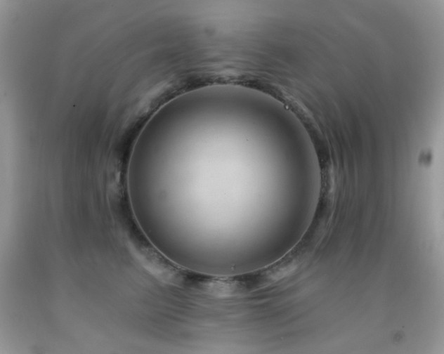 X0000091970615200709061333