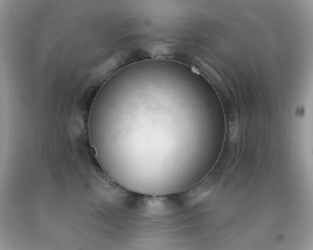 X0000091970618200709061333