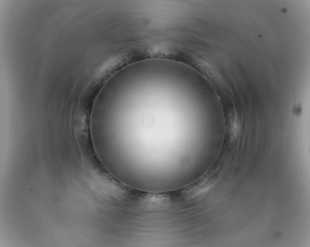 X0000091970619200709061333