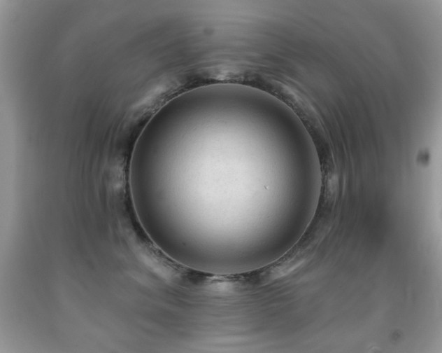 X0000091970620200709061333