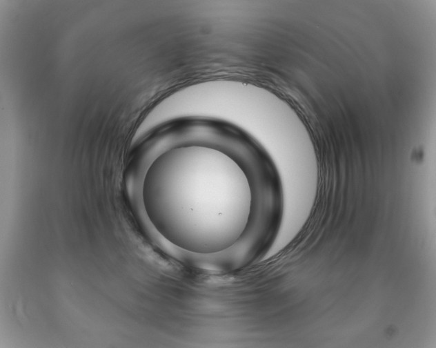 X0000091970621200709061333