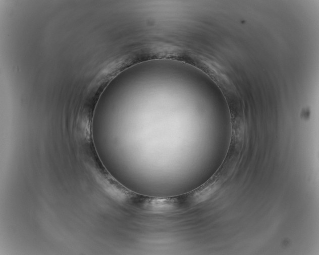 X0000091970622200709061333