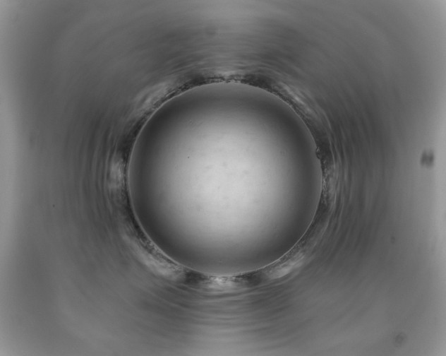 X0000091970623200709061333