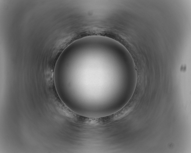 X0000091970624200709061333