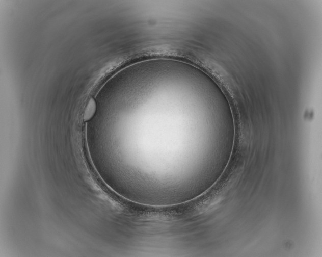X0000091970625200709061332