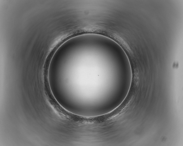 X0000091970626200709061332