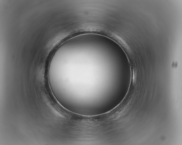 X0000091970627200709061332