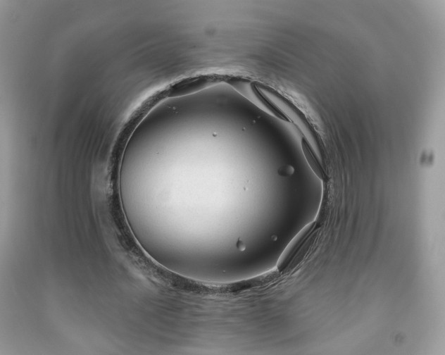 X0000091970628200709061332