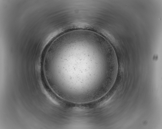 X0000091970630200709061332