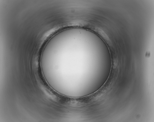 X0000091970632200709061332