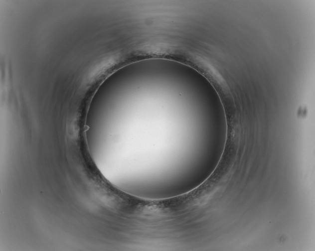 X0000091970635200709061332