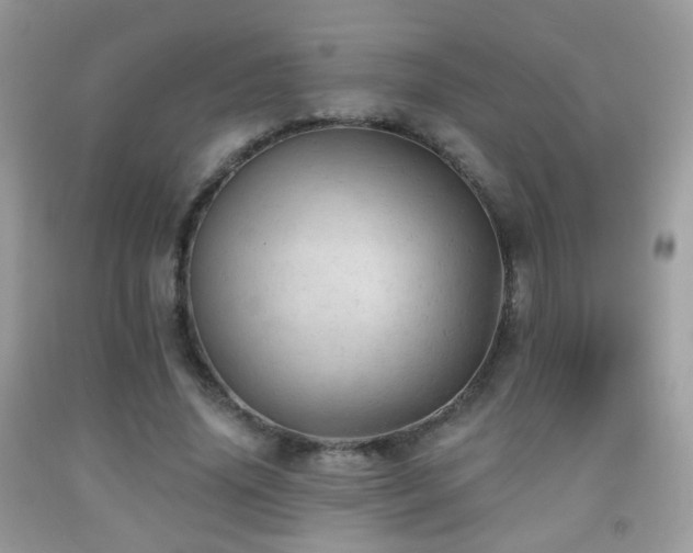 X0000091970636200709061332